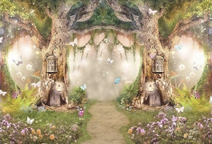 Fond-photo-Foret-enchantee