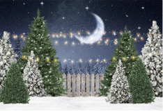 Fond-photo-Nuit-Noel-