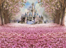 Fond-photo-chateau-disney