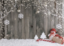 Fond-Photo-Noel-pallissade
