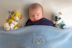 photographe-baincthun-naissance-bebe-nouveau-ne-boulogne-sur-mer-studio