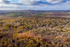 foret-baincthun-automne-olivier-bailly-photographie
