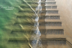 tardinghen-cap-gris-nez-lord-grey-terre-des-2-caps-olivier-bailly-photographie