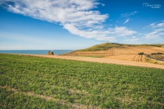 escale-cap-blanc-nez-terre-des-2-caps-olivier-bailly-photographie