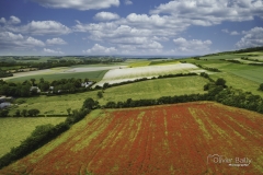 coquelicot-saint-inglevert-olivier-bailly-photographie-terre-des-2-caps